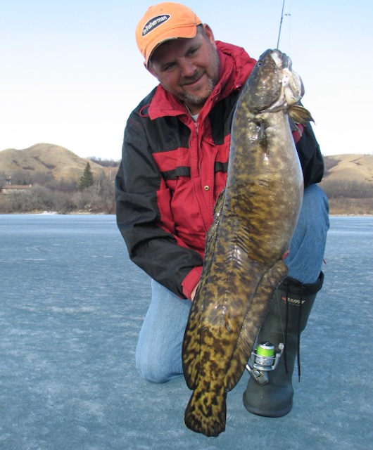 Ice-fishing for burbot: The must-know locations and lures