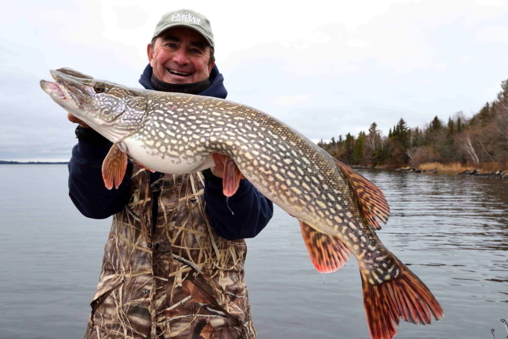 Expert tips for catching big, early-season northern pike • Outdoor Canada