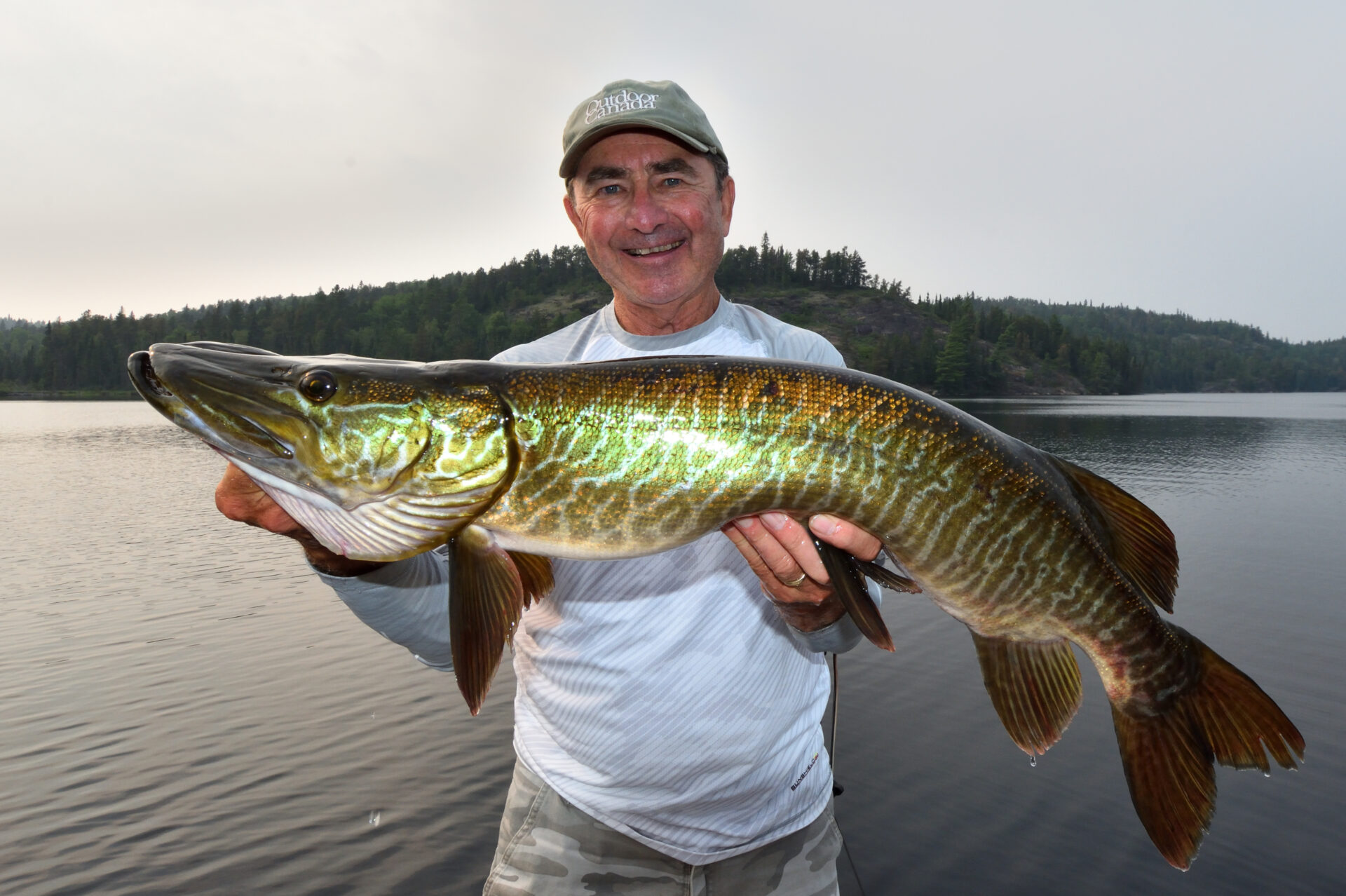 How to identify the rare and beautiful tiger muskie • Outdoor Canada