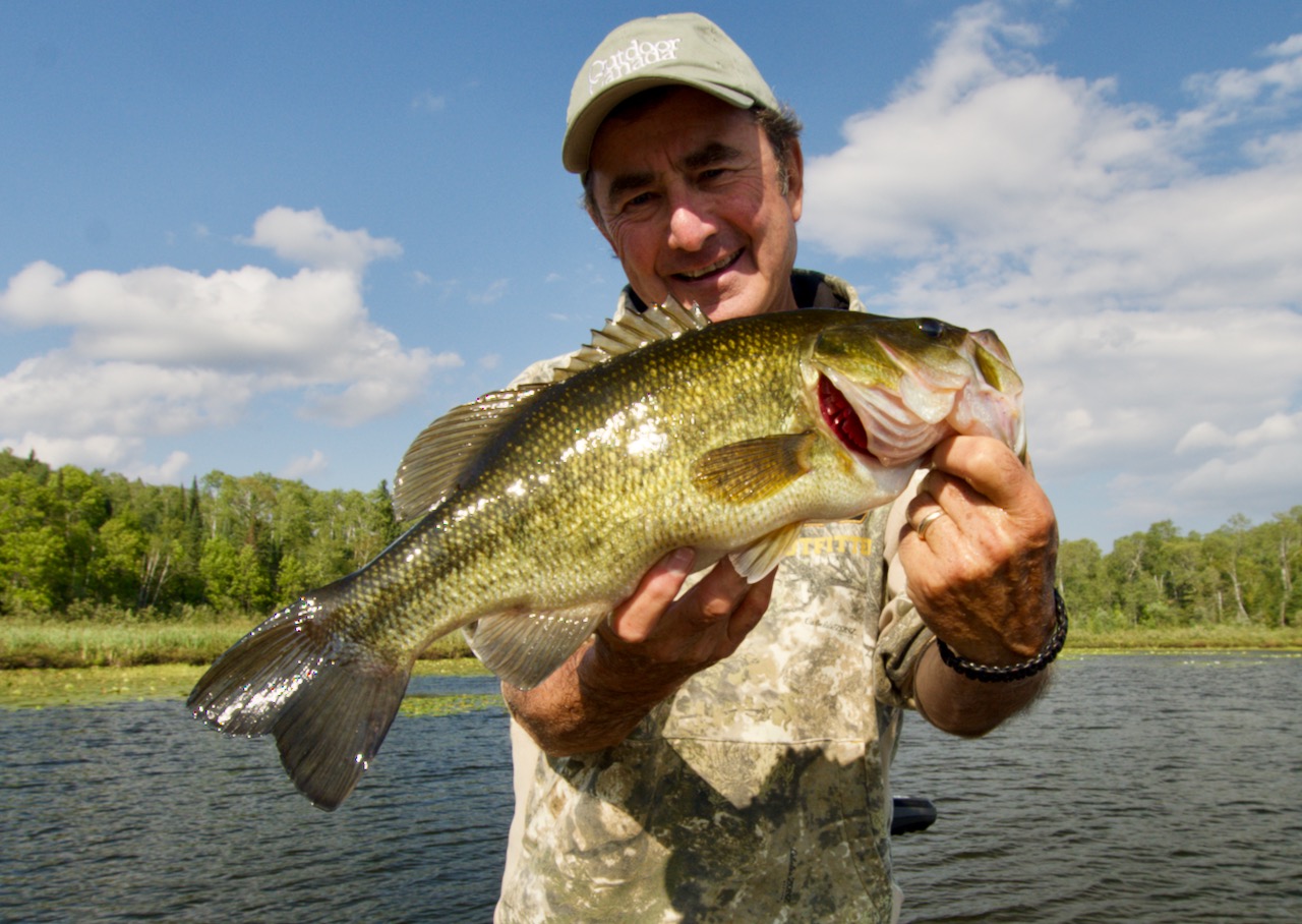 Allday bass Top summer largemouth lures for fishing morning, noon and