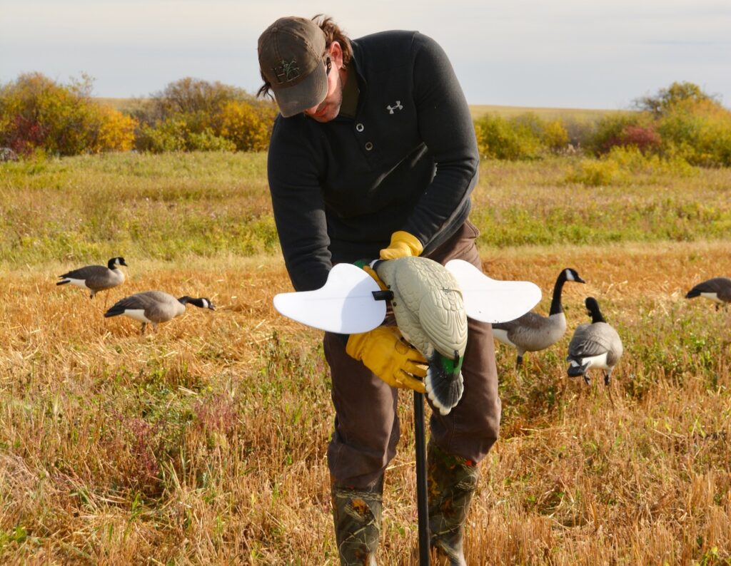 Hunting with motion decoys? Check out these expert tips • Outdoor Canada
