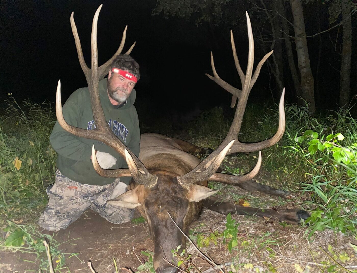 4 bowhunting tips from the Canadian who arrowed a world record elk