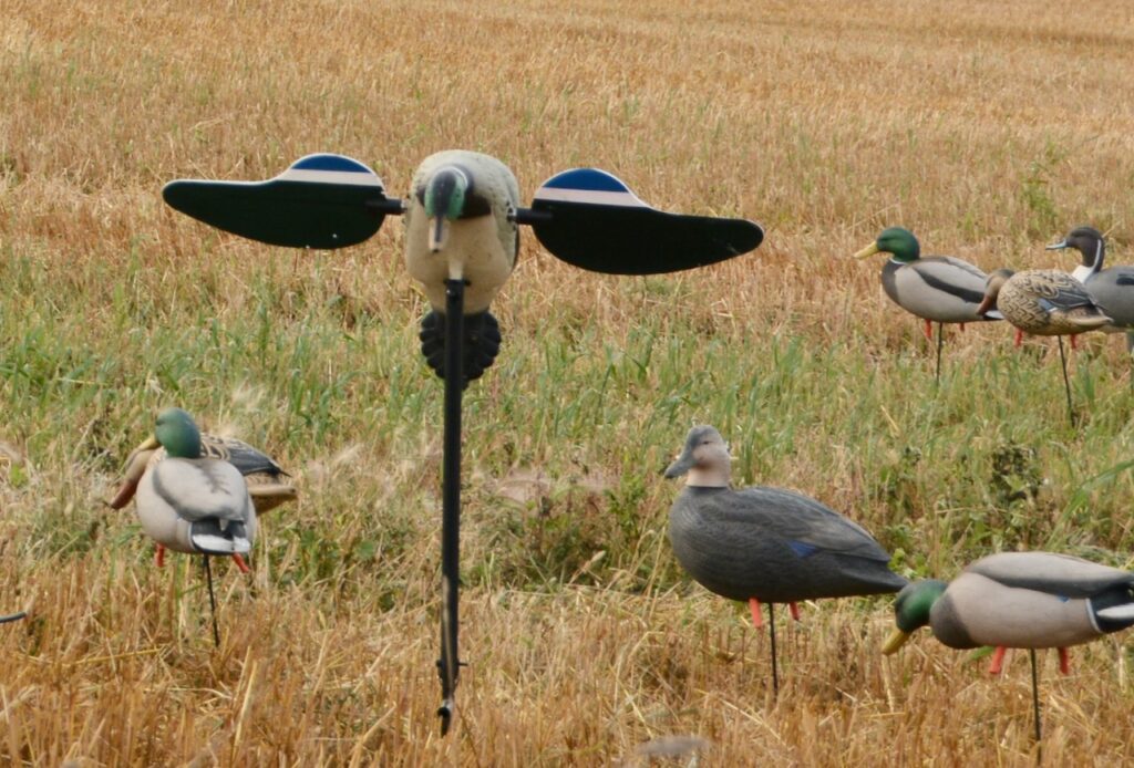 Hunting with motion decoys? Check out these expert tips • Outdoor Canada