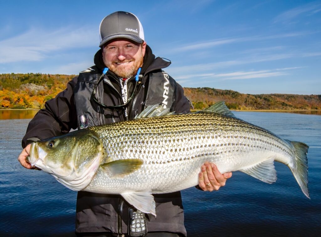 Why the Fish'n Canada hosts are always awed by N.B.'s giant striped bass •  Outdoor Canada