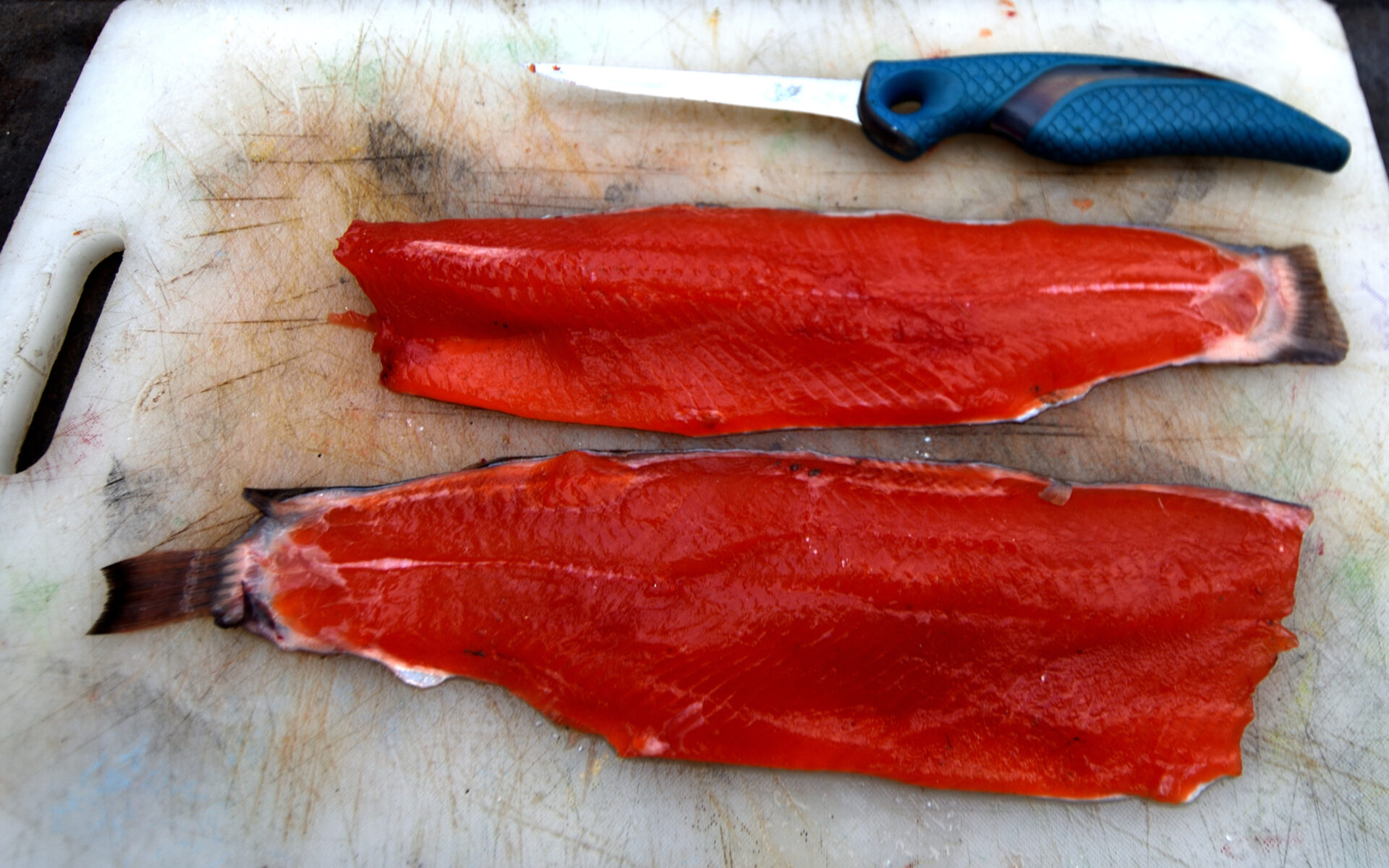 Why do trout and salmon have red flesh? It