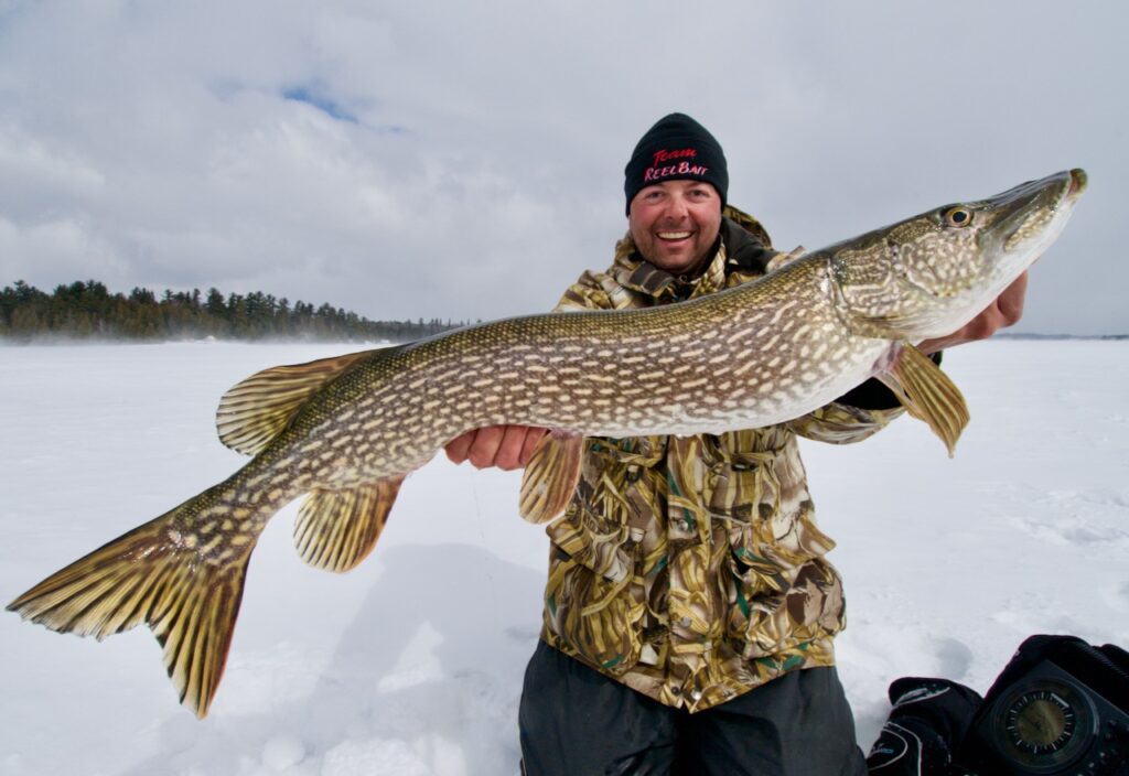 How to pick the perfect ice-fishing bait for giant northern pike