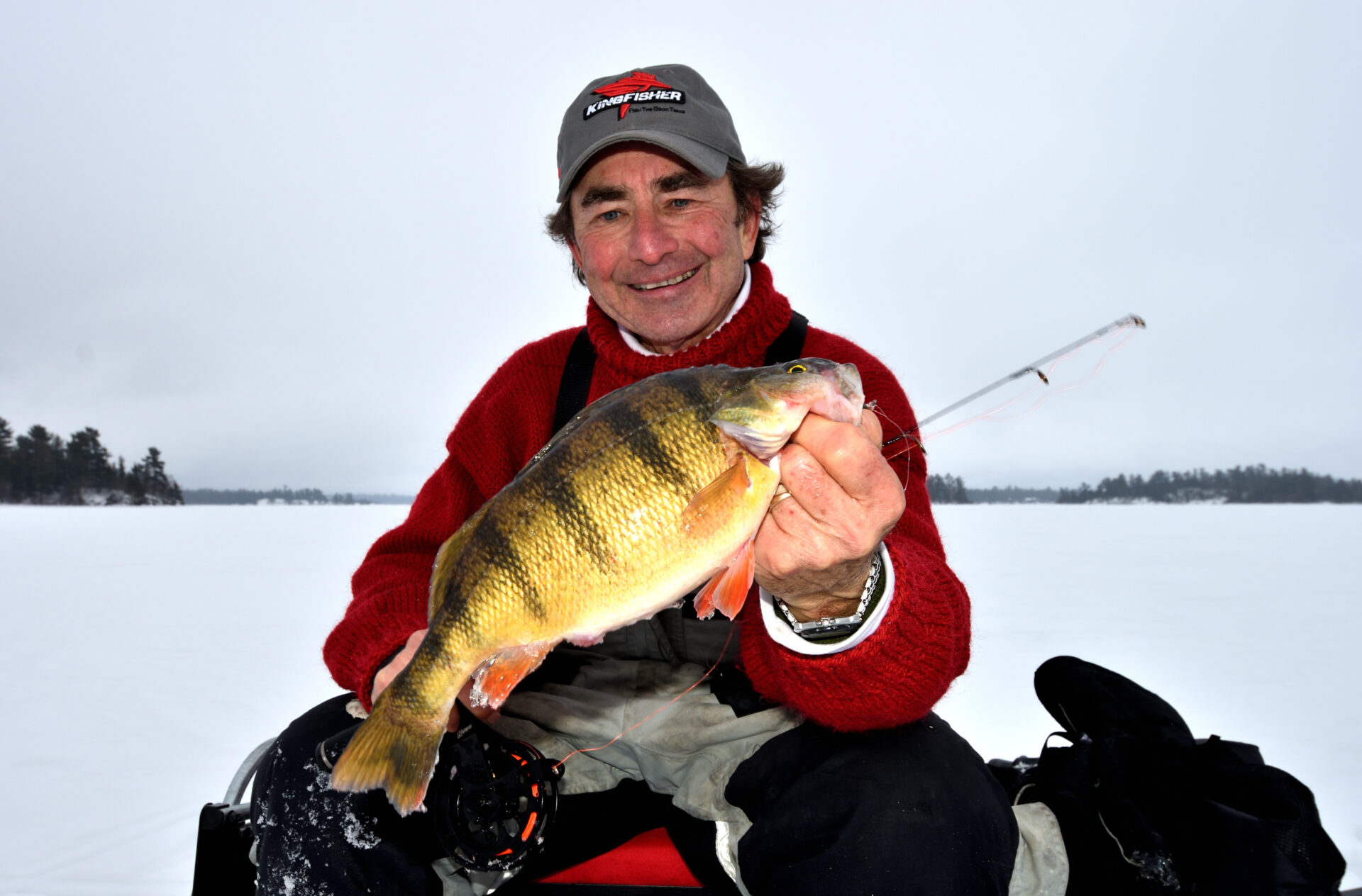 More fascinating science about ice fishing for yellow perch • Outdoor Canada