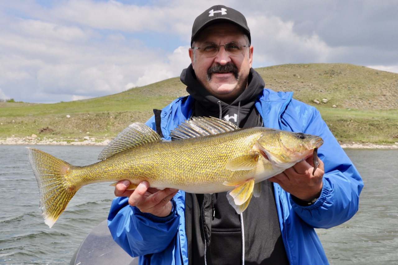 Leeches are one of the all-time great baits. Here's how to fish them  correctly • Outdoor Canada