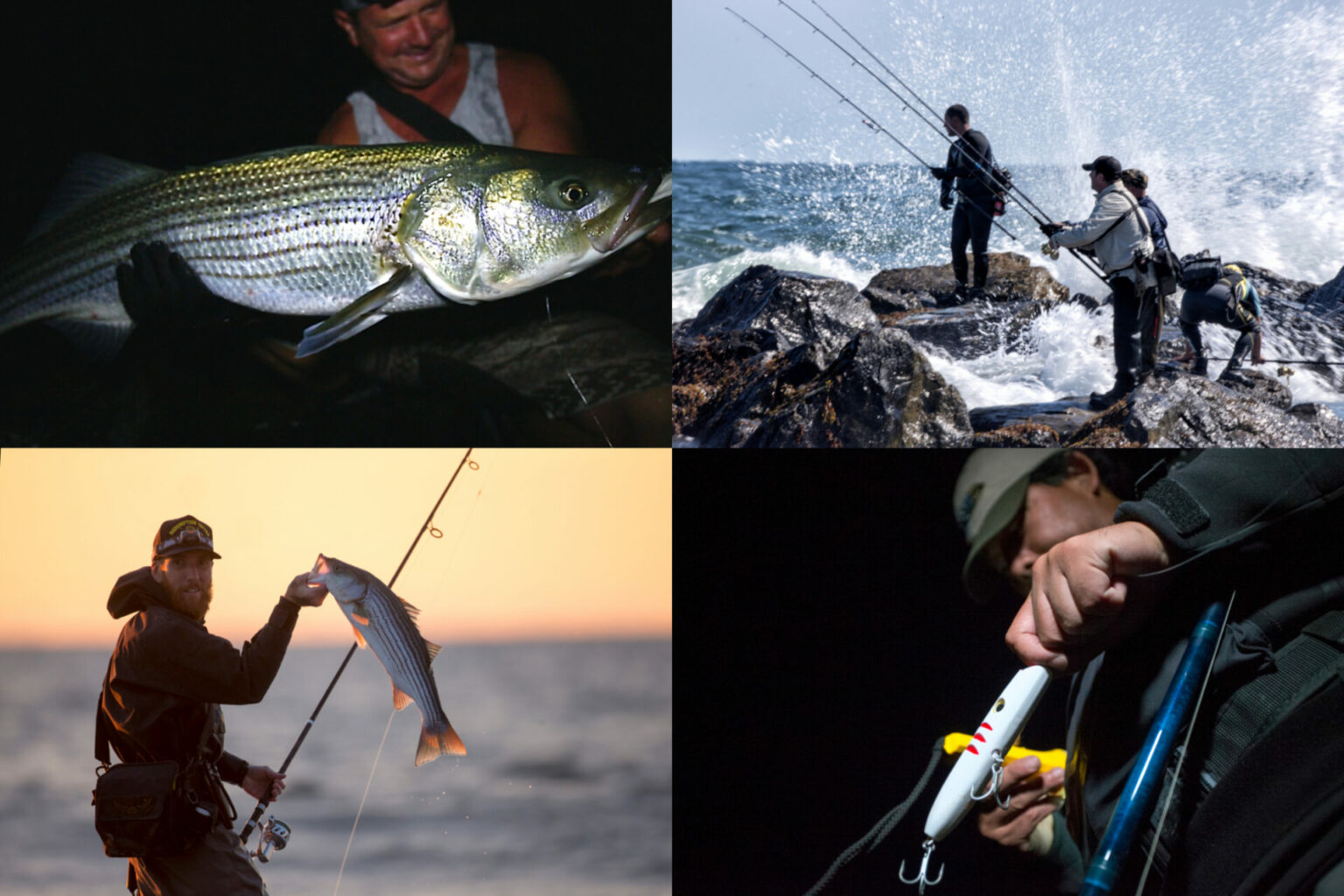 How to Field Dress Big Game • Outdoor Canada