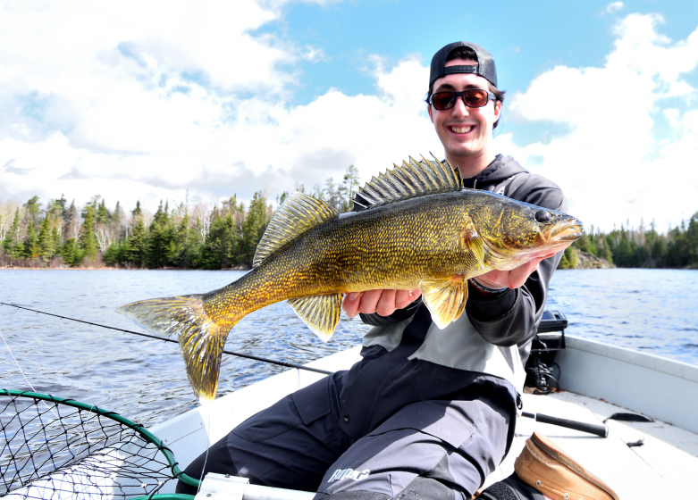 Your walleye lures are way too small—and this simple scientific data  explains why • Outdoor Canada