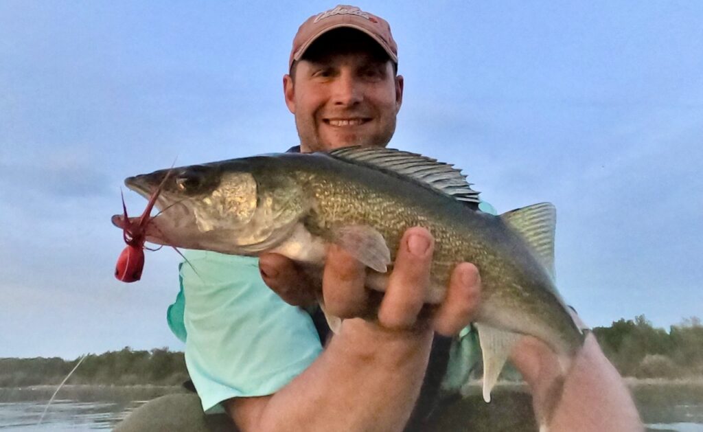 Topwater walleye? You bet—if you try these tips and techniques