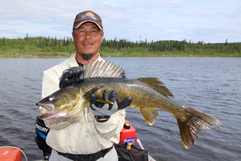 Pro tips for hunting big walleye in ultraclear water • Outdoor Canada
