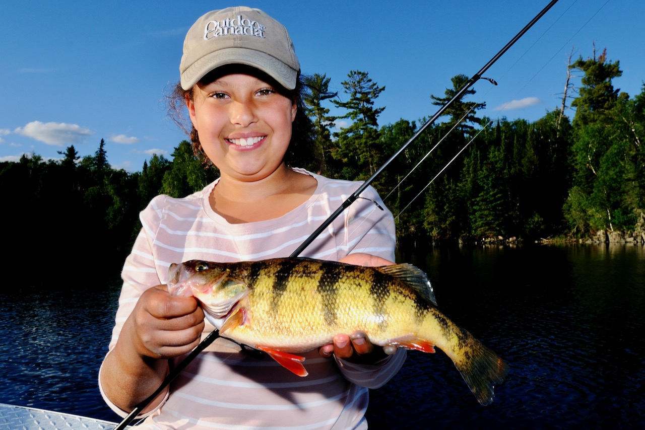 Autumn is prime time for tackling schools of jumbo perch. Here's how •  Outdoor Canada