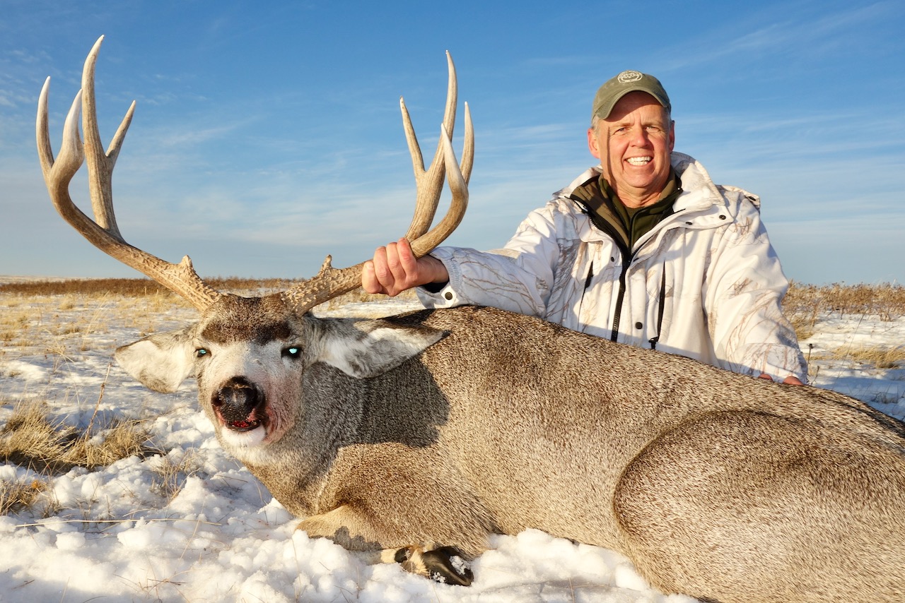 A slam of North American deer. Wildlife biologist and outdoor