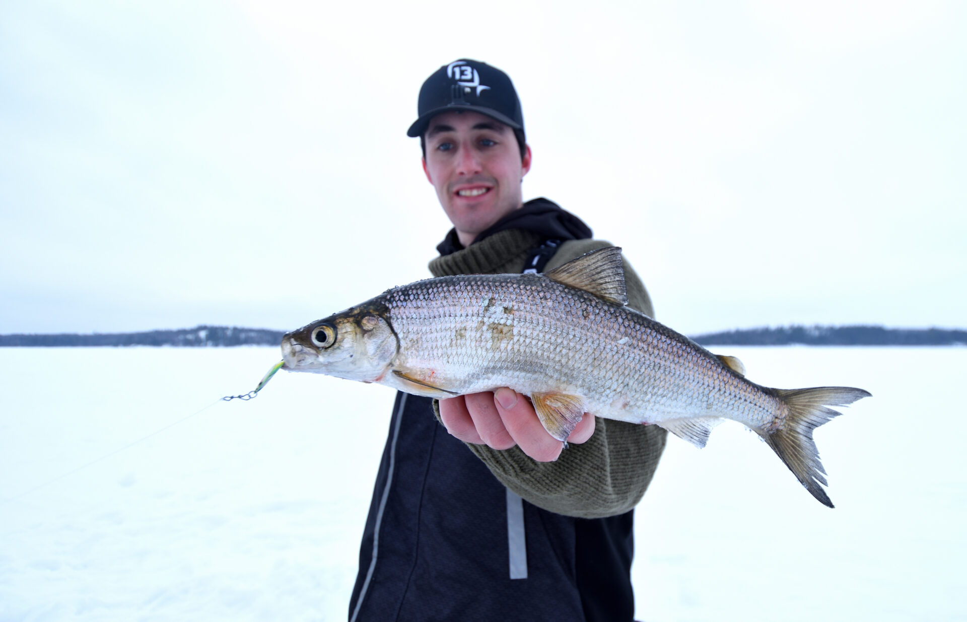 Declining cisco populations mean big trouble for walleye, lake