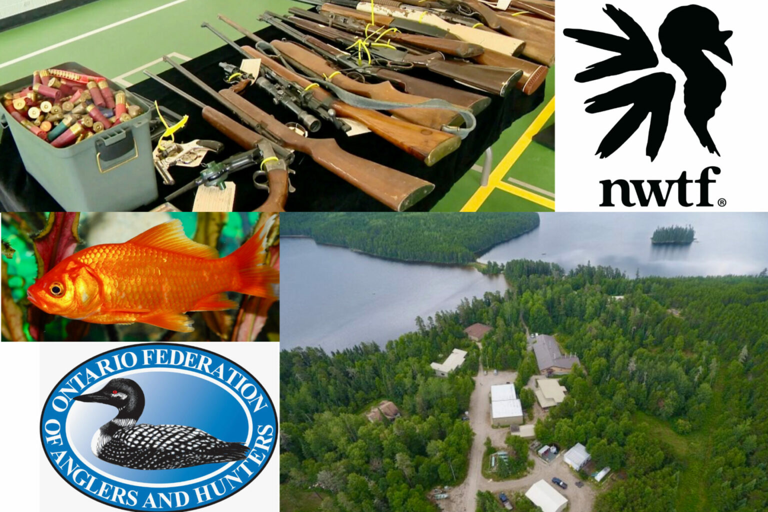 Venison Pie • Outdoor Canada