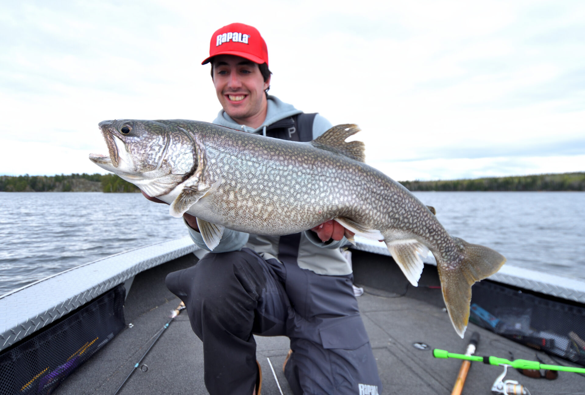 More must-know science about why ciscoes are so important to your fishing  success • Outdoor Canada