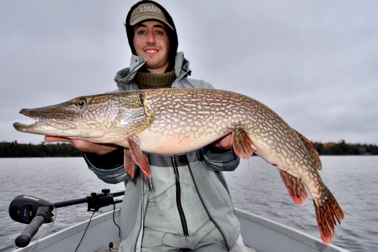 New science shows how to find big pike in late summer and early fall.  Here's what you need to know • Outdoor Canada