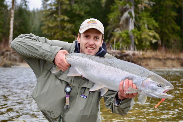 Steelhead river getting too crowded? Target these secret fish