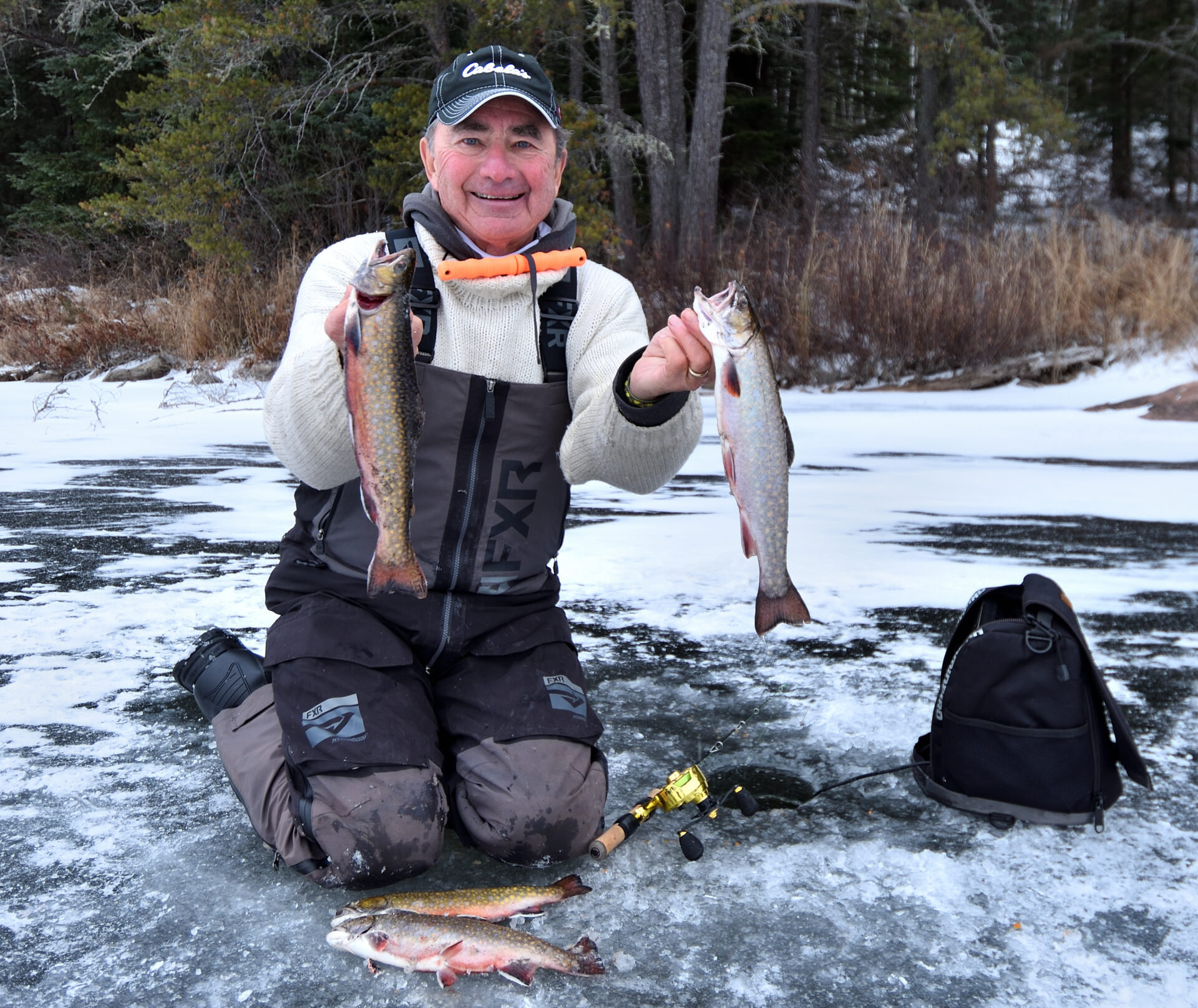 Why do some male-looking brook trout carry eggs? The answers are