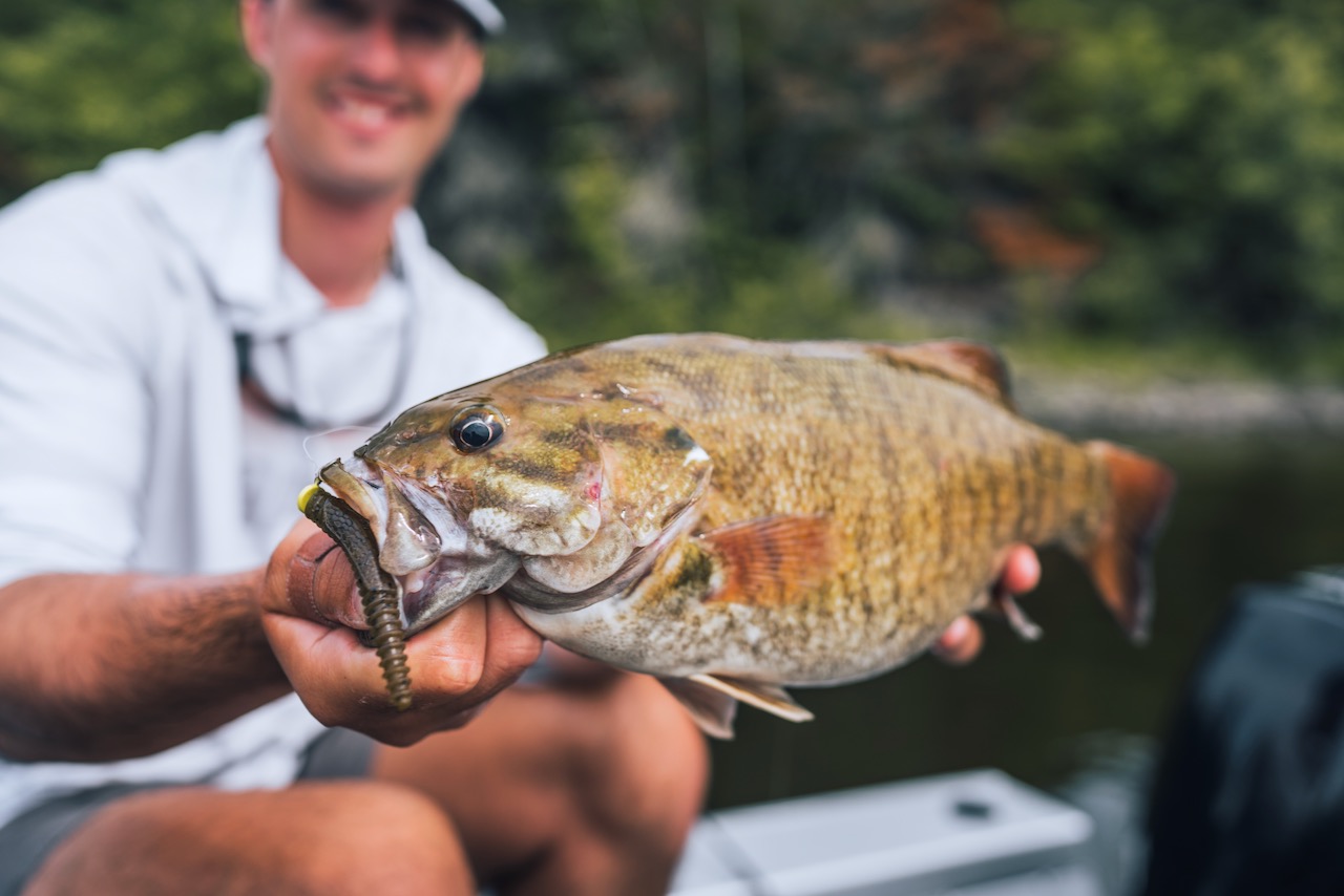 Rapala's new soft-plastic Crush City baits are made for fishing in