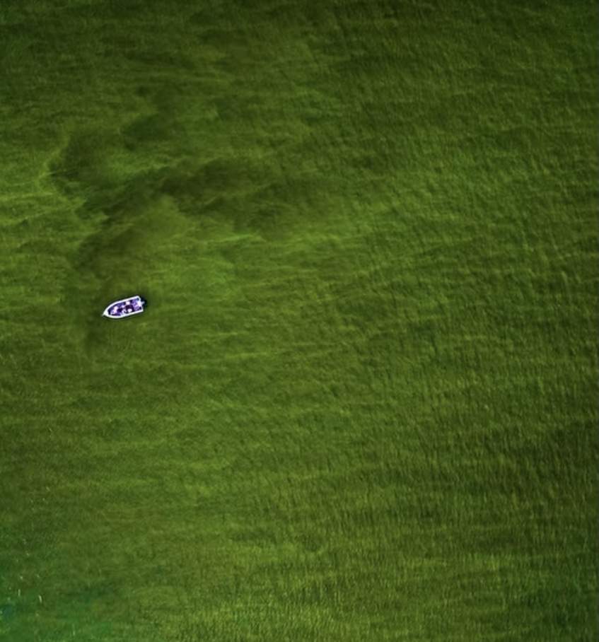 If fall algae blooms naturally occur in your lake, the fishing can