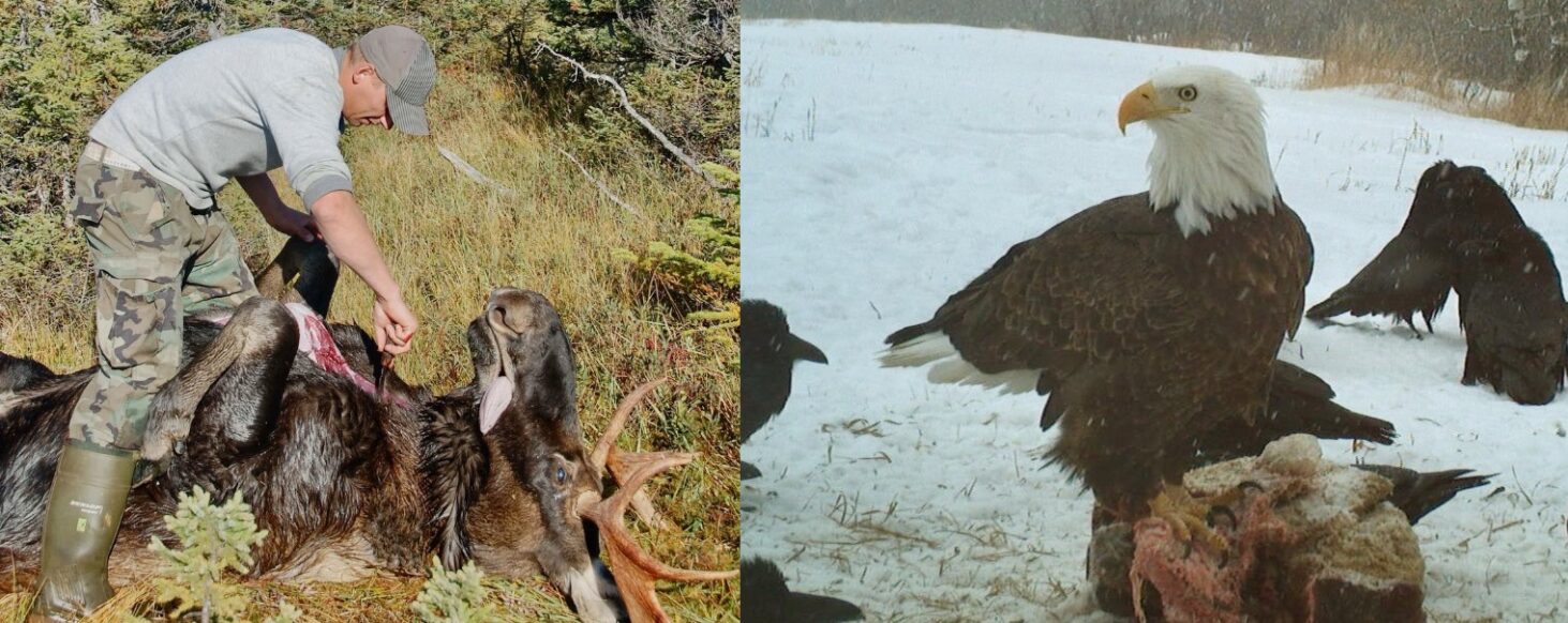 Thought we’d completely dealt with the threat of poisonous lead in our